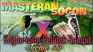 Download lagu Materi untuk sogom tembakan pelatuk sampit mp3 Download lagu Materi untuk sogom tembakan pelatuk sampit mp3