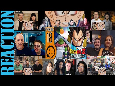 DragonBall Z Abridged: Episode 18 - TeamFourStar (TFS) REACTIONS MASHUP