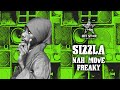 Sizzla - Nah Move Freaky (Official Audio) | Jet Star Music