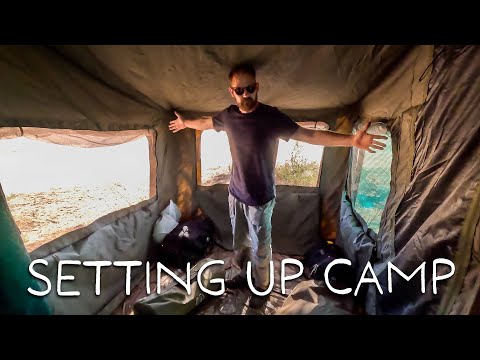 Cheetah hunting and setting up camp in the Kalahari (Rooiputs Ep3)