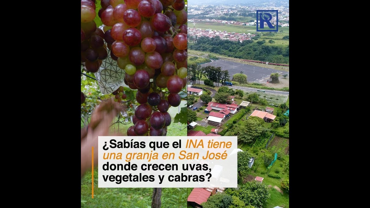 ¿sabía usted que el