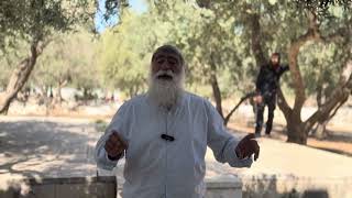 העולה לבית ה׳ זוכה לשלמות הנפש || אזכרה לחייל הקדוש דוד ליבי הי״ד | הרב שמואל מורנו (ישיבת הר הבית) - התמונה מוצגת ישירות מתוך אתר האינטרנט יוטיוב. זכויות היוצרים בתמונה שייכות ליוצרה. קישור קרדיט למקור התוכן נמצא בתוך דף הסרטון