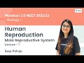 Human Reproduction Male Reproductive System L1 NEET 2022 23 Seep Pahuja