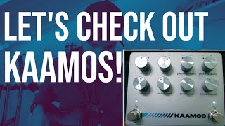 Video thumbnail for LET'S CHECK OUT THE DARKGLASS ELECTRONICS KAAMOS! by Erik Arkö