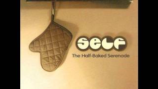 Self - Microchip Girl