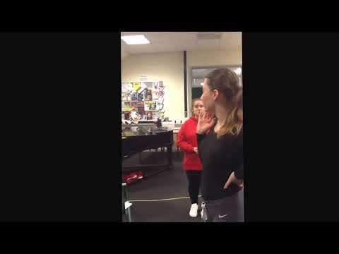 Danyna ensemble job role evidence