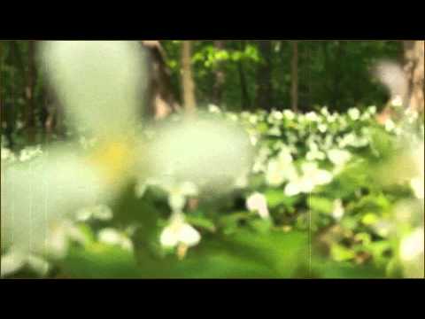 P.Flow Matics - Indignation (Official Music Video) [Prod. P.Flow Matics]