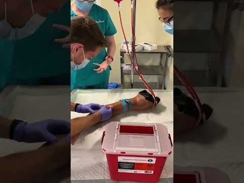 Learn Venipuncture in the SIM Lab!