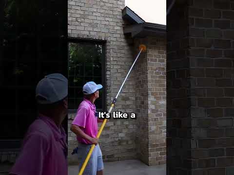 How to remove a wasp nest DIY