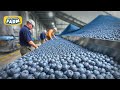 Blueberries MEGA FACTORY Processing Thousands Of Blueberries With AI