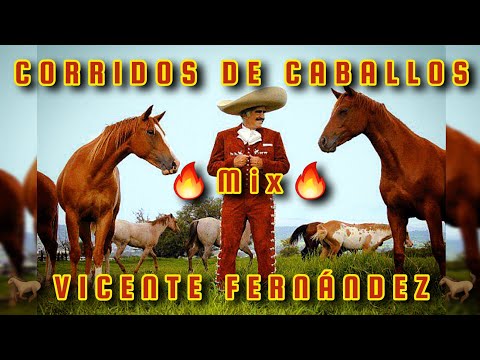 🔥MIX VICENTE FERNANDEZ🔥 CORRIDOS DE CABALLOS 🏇 🐎 🐴
