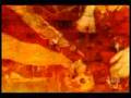 Treasure Island Australia