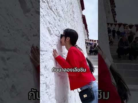 กำแพงนมโปตาลา ที่ใครๆ ก็พากันเลีย!?