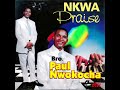 Bro Paul Nwokocha Chineke Nke Eligwe Official Audio PART 1