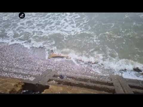 Most beautiful beach in karachi 