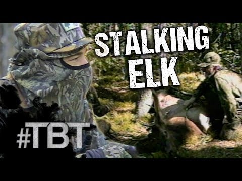 Stalking Elk with Steve Stoltz!