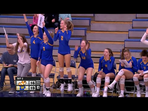 Girls High School Volleyball Wayzata vs. Osseo Section 5AAA