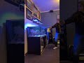 More Passion More Energy ️ Aquarium Reeftank Maintenance