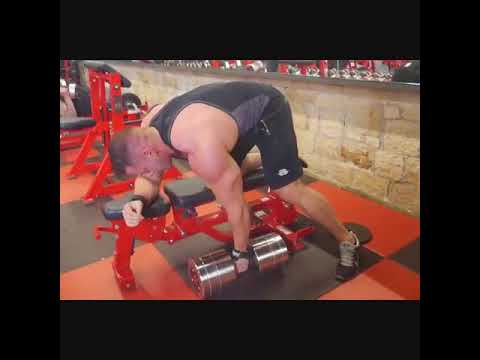 WATCH :Gymnast Vs Bodybuilder