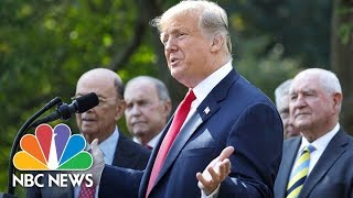 Special Report: Trump Makes Announcement On Government Shutdown | NBC News