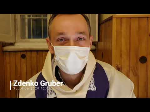 Zdenko Gruber Moje mišljenje o pandemiji