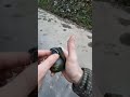 Esto Es Una Granada De Mano ️