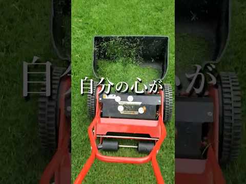 どうしたら綺麗な芝生になるのでしょうか？これらの実践的なヒントとアドバイスのおかげで、夢の芝生が手に入るでしょう。  庭園