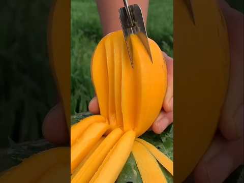 My favourite song#indianmumkhadija #shortvideo #ytshorts #fruitcutting #fruit#mengo