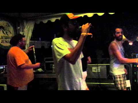 Free up your vibe - Carlton Shepherd - Arise Sound System @ Dub Academy Rototom 2015