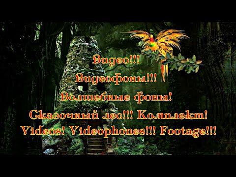 Видео!!! Видеофоны - Мультфильм! Волшебные фоны! Сказочный лес! Комплект!!! Videos! Videophones!
