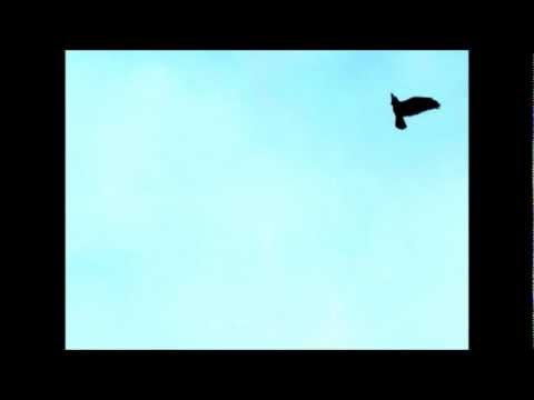 Glen Hansard - Fallen from the Sky
