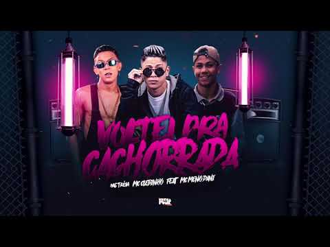 MC TROIA , MC MENO DANI E MC CLEBINHO - VOLTEI PRA CACHORRADA ( REMIX BREGA FUNK )