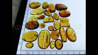  Křídový jantar SJ-55