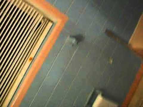 2 Bedroom Apartment for rent hollywood fl Part 2