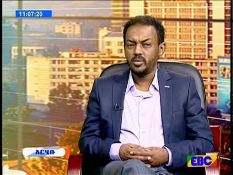 Arhibu: Interview with Music Composer Elias Melka