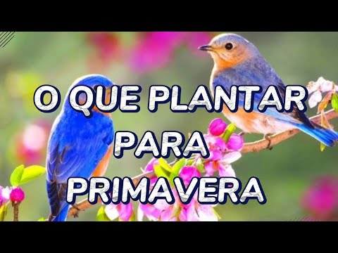 , title : 'O QUE PLANTAR NA PRIMAVERA 2021'