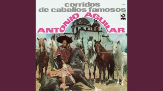 El Caballo Blanco
