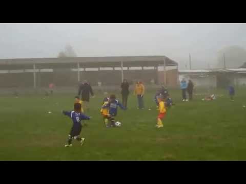 MARVIN THE BEST Nieuwerkerken, Oost-Vlaanderen, Belgium