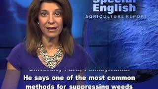 Getting a Firm Grip on Weed Control