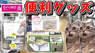 ダイソーには天才クリエイターでもおるんか？【猫ミーム】