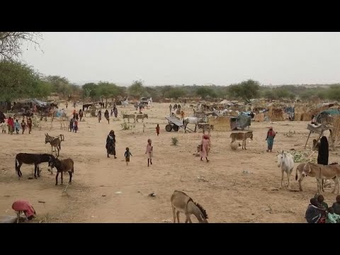 Los desplazamientos de Sudán ponen en dificultad a los países vecinos