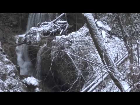 Cabana Susara din Sasca Montana