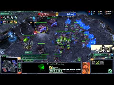 GLSnute (Z) vs NosBingo (T) - By Wyrdcast