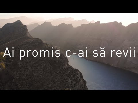 Ai promis c-ai să revii (Cover)| Familia Vasiu