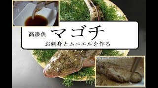高級魚のマゴチでお刺身とムニエル レシピ 作り方