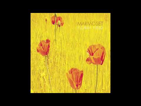 Marmoset - Pass it along