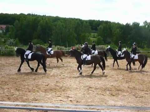 13.05.2012 Quadrille