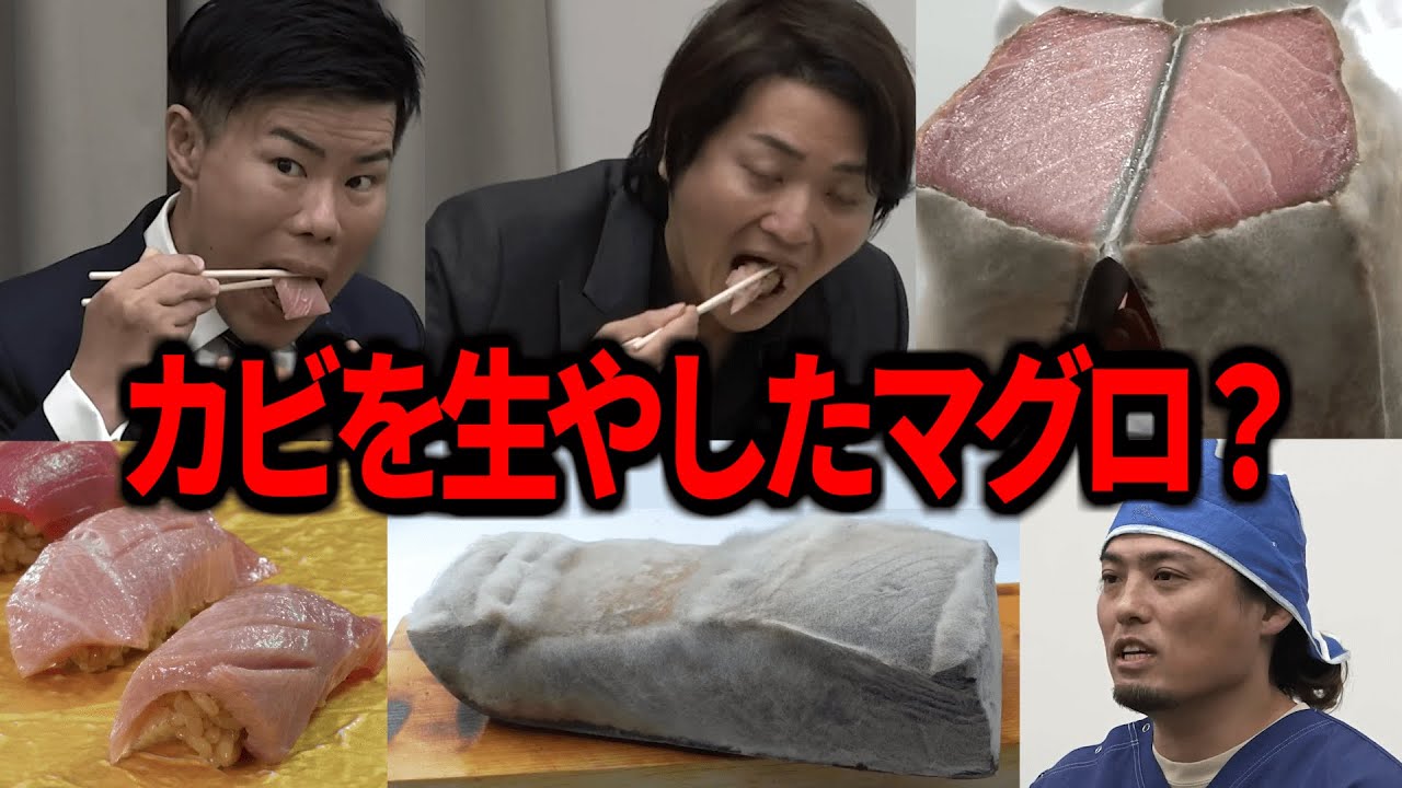 【令和の虎】「超抵抗あるんですけど」カビで熟成したマグロで虎たちに衝撃を与えた志願者【令和の虎切り抜き】