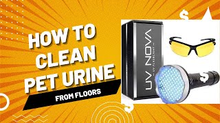 Cleaning Dog Urine From Floors
