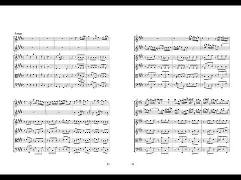 Double Concerto E minor for Recorder and Flute, G. P. Telemann. TWV 52:e1